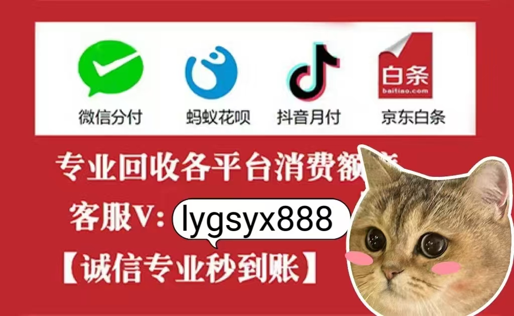  打破常规，揭秘美团月付套现的轻松方法